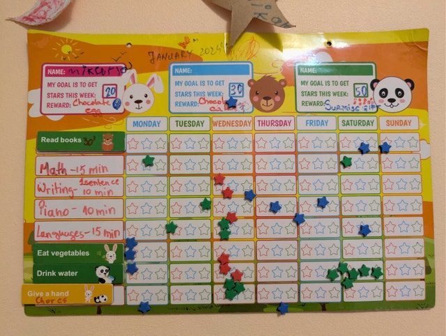 Kids Chore tracker and organizer with magnetic labels and stars - photo 2