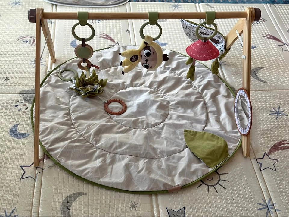 Tiny love boho chic luxe developmental gymini