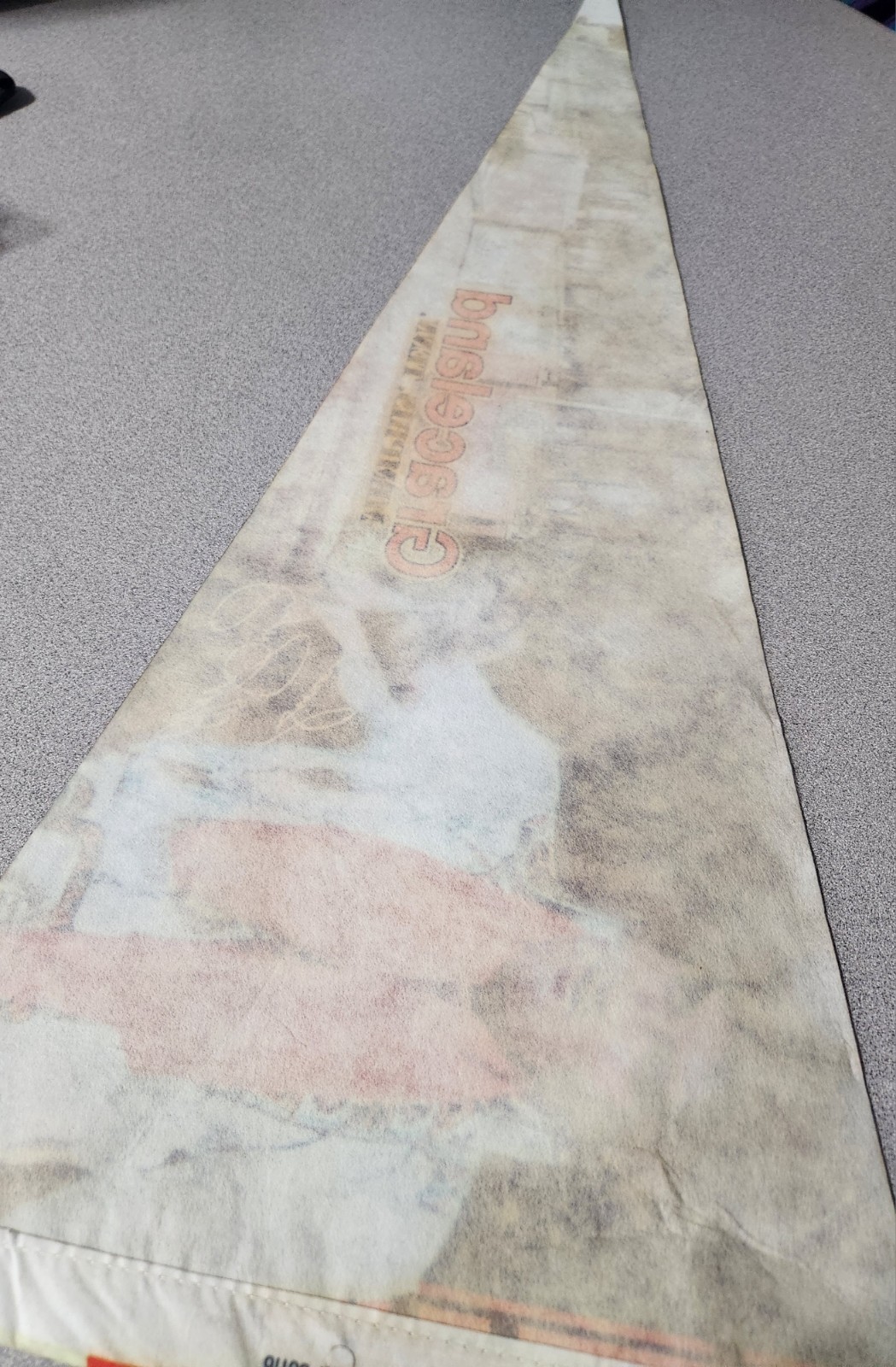 Vintage Elvis Presley Graceland Memphis Tennessee Pennant - photo 2