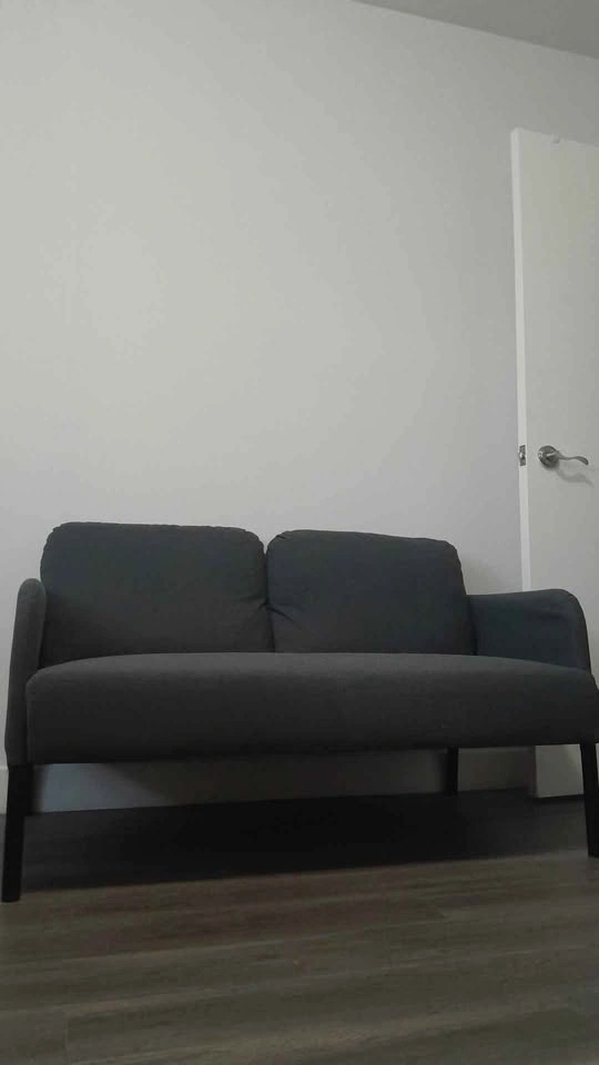 Fits easily in small car - Loveseat couch - photo 3