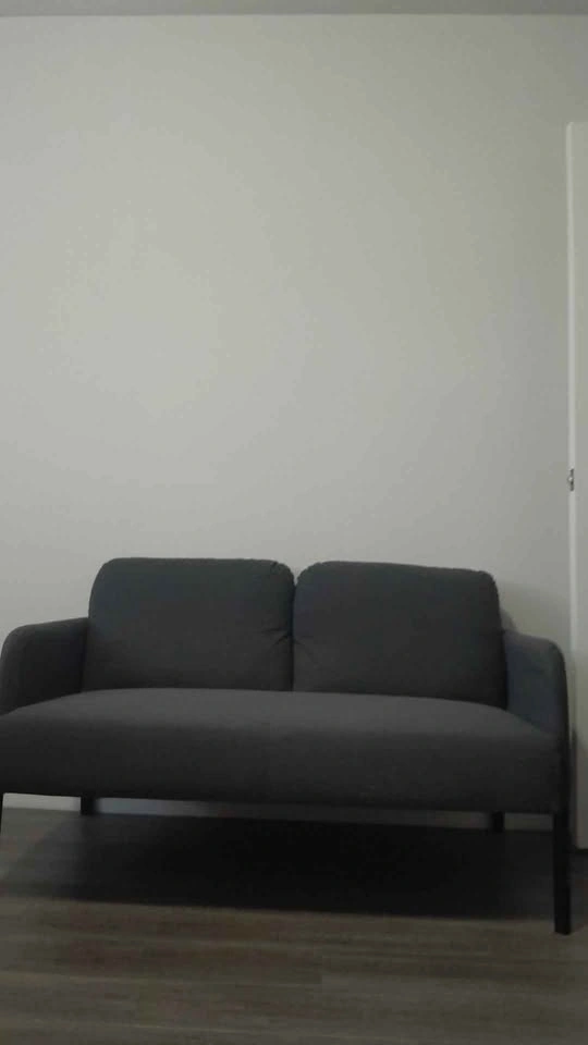 Fits easily in small car - Loveseat couch - photo 4