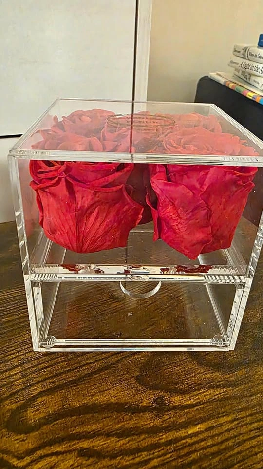 Venus et Fleur Le Cinq Eternity Roses - Red Preserved Rose