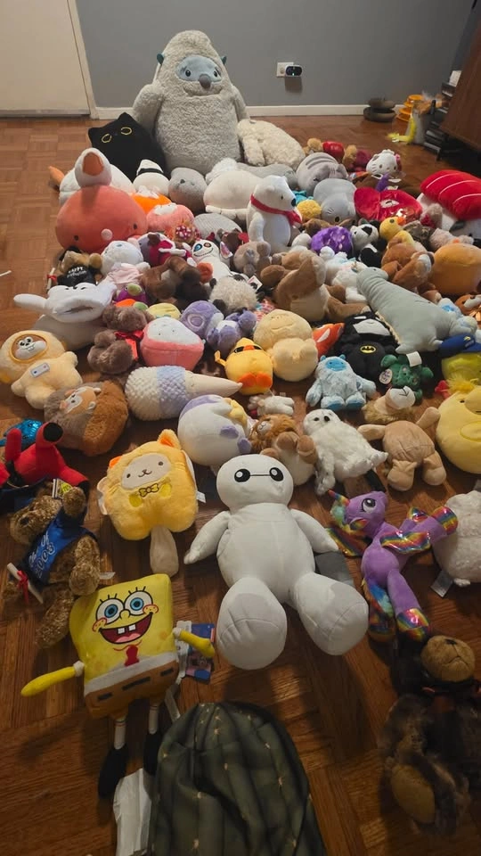 100+ Stuffed Animals, Plush Toys & Squishmallows - Huge Lot - photo 2