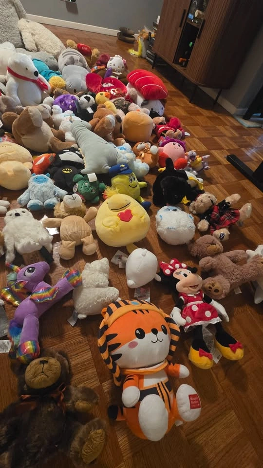 100+ Stuffed Animals, Plush Toys & Squishmallows - Huge Lot - photo 3