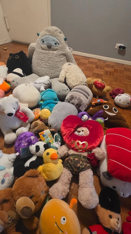 100+ Stuffed Animals, Plush Toys & Squishmallows - Huge Lot - photo 4