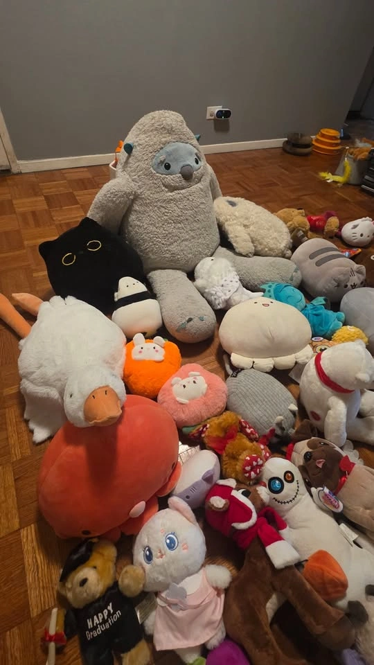 100+ Stuffed Animals, Plush Toys & Squishmallows - Huge Lot - photo 5