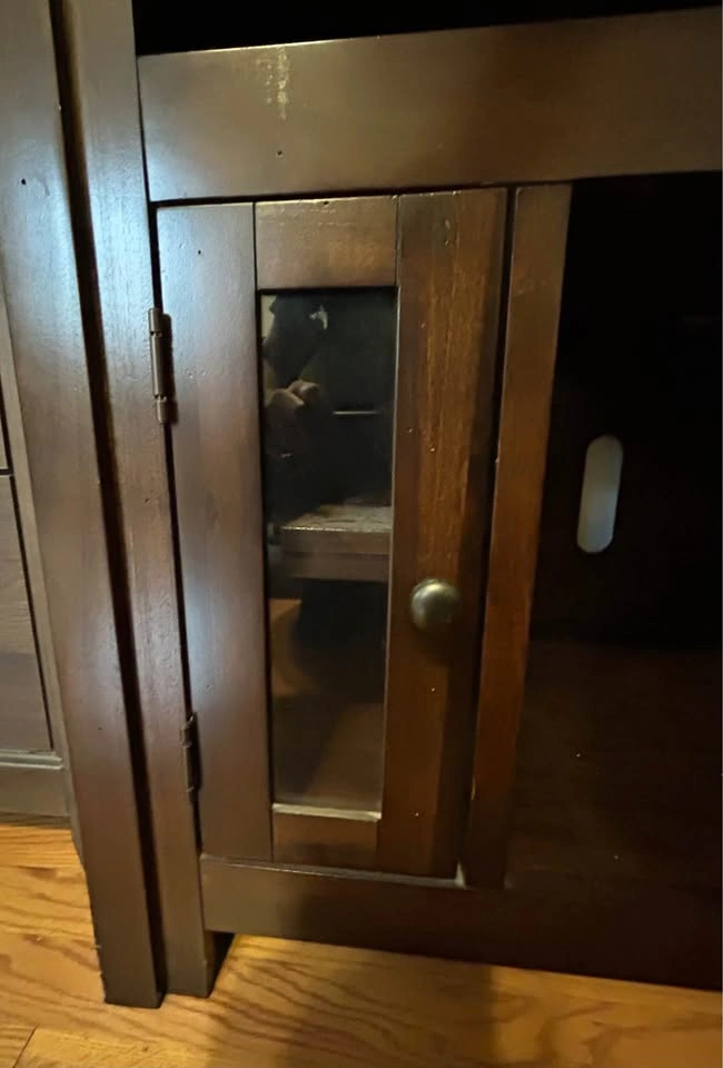 Dark Wood TV Stand with Glass Cabinets - photo 3