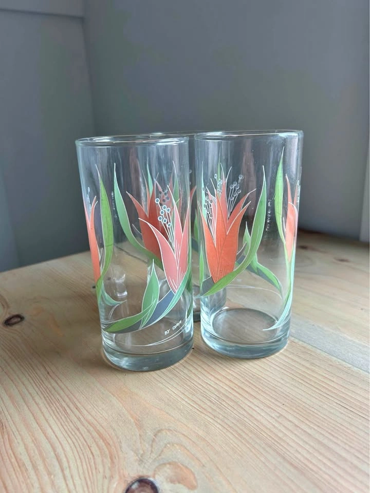 Cerve Made in Italy Tumbler Glasses