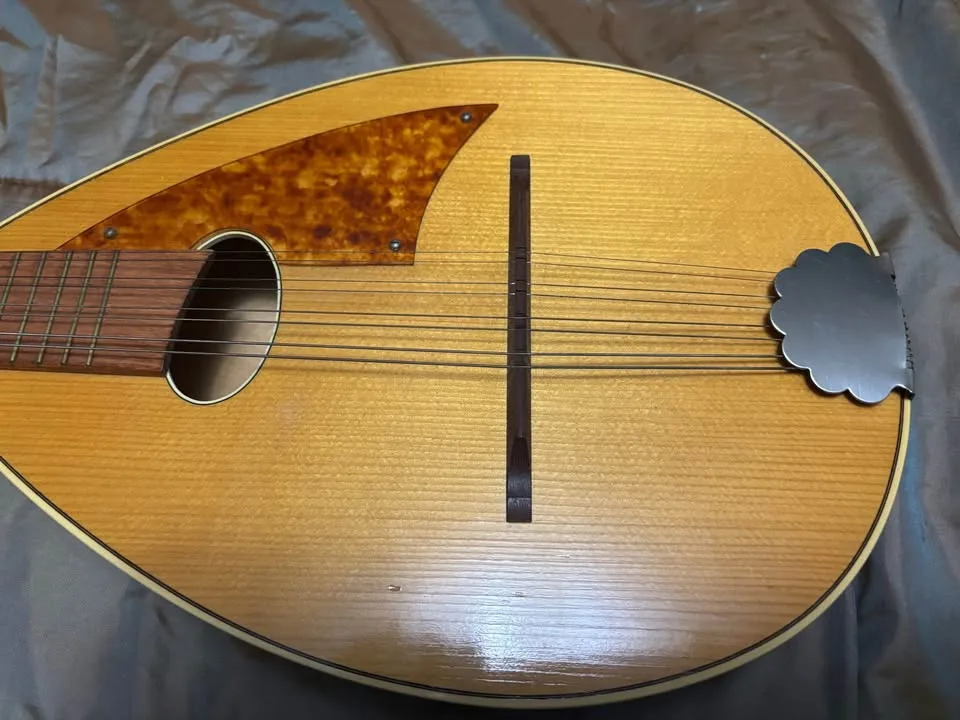 Vintage Mandolin image indicator(4)