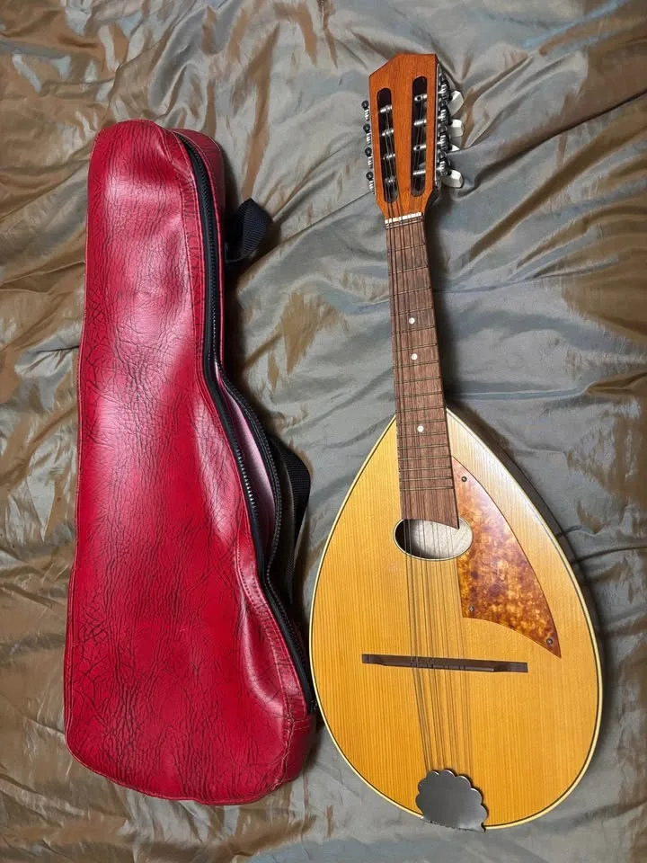 Vintage Mandolin image indicator(7)