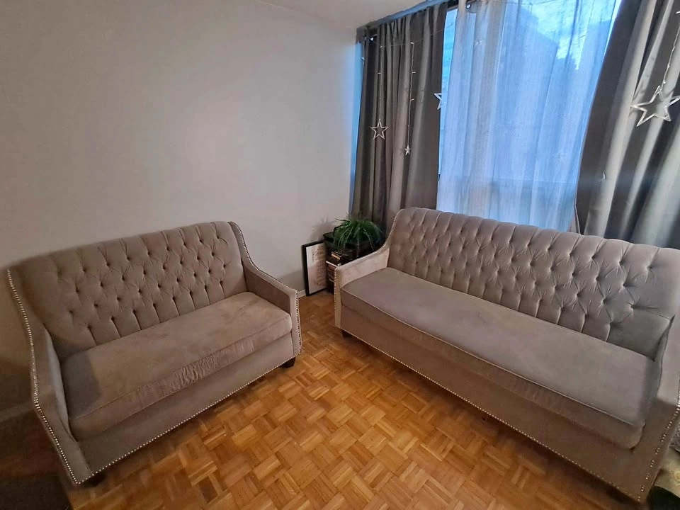 Velvet Sofa & Loveseat Set