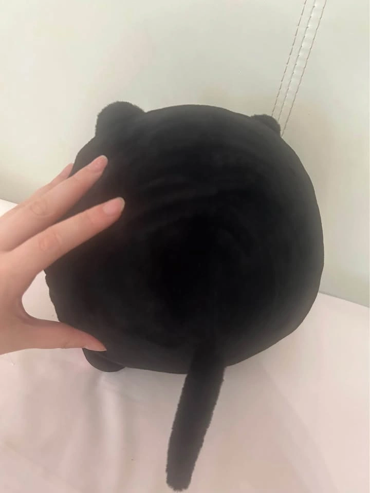 Black Cat Plushy Toy - photo 2