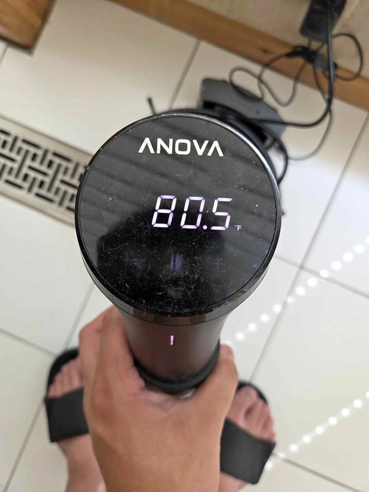 Anova AN500-10 Sous vide cooker