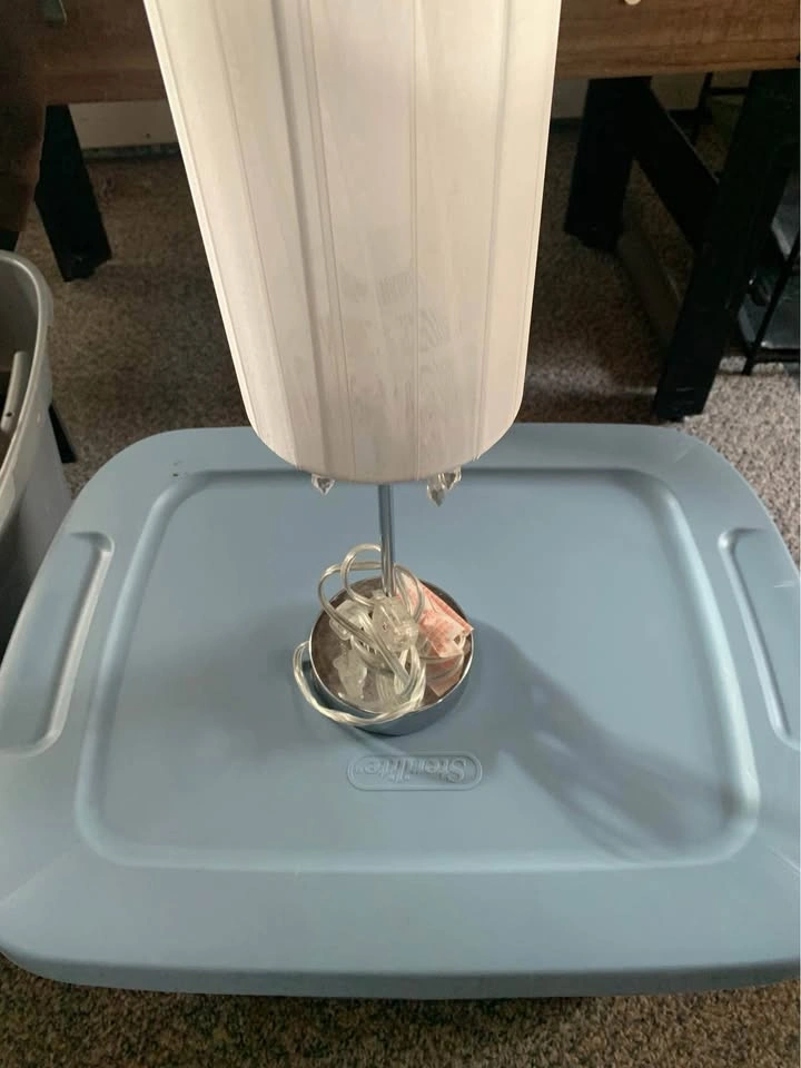 Lamp