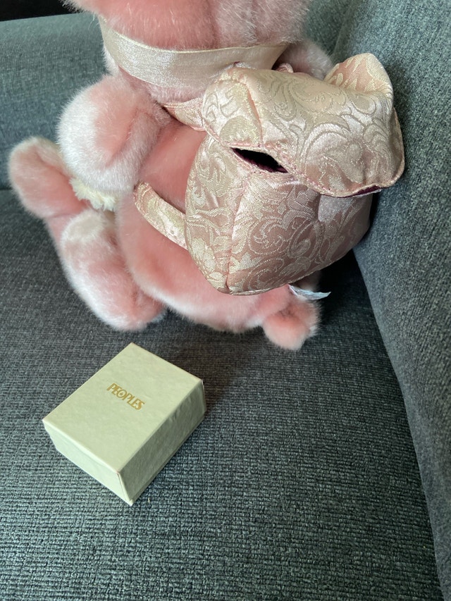 Gund Pink Teddy Bear with Backpack - photo 3