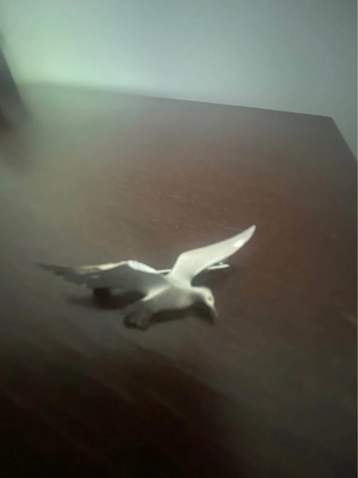 Pewter Seagull Brooch/Lapel Pin With Beveled Wing - photo 2