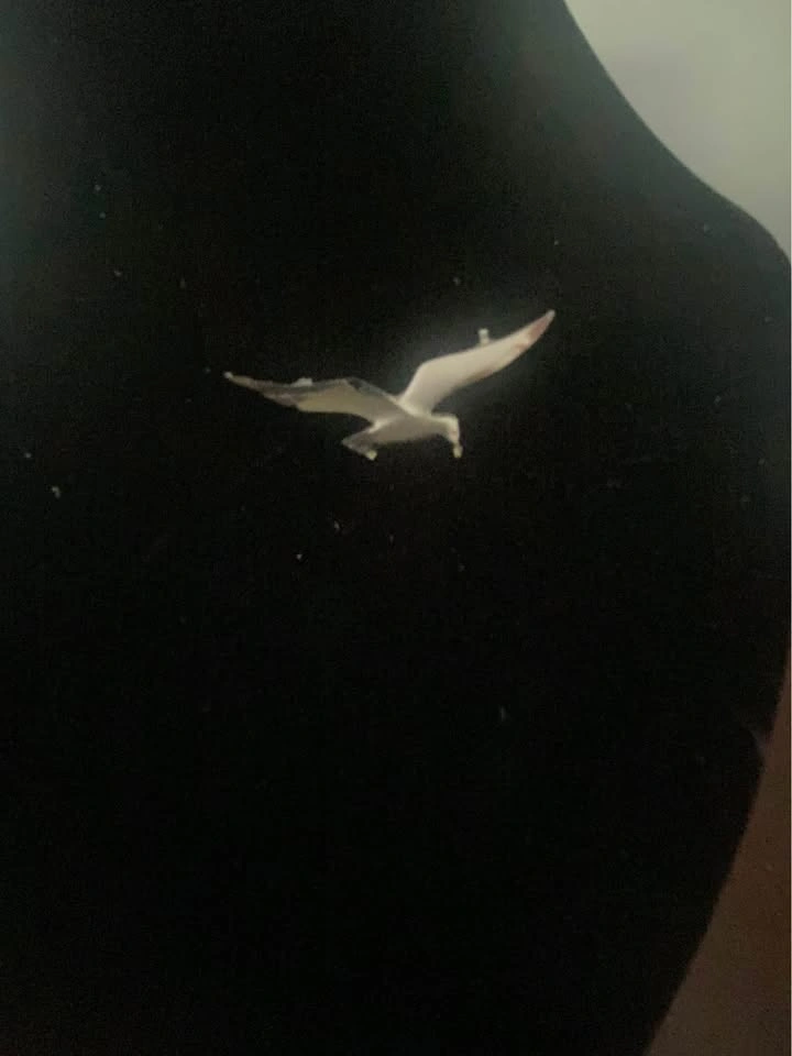 Pewter Seagull Brooch/Lapel Pin With Beveled Wing - photo 3