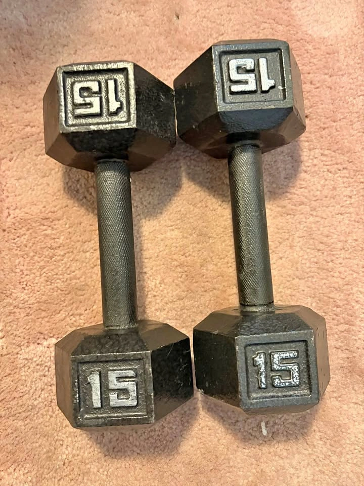 15 lb Dumbbells (x2)