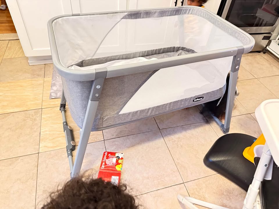 Infans portable bassinet