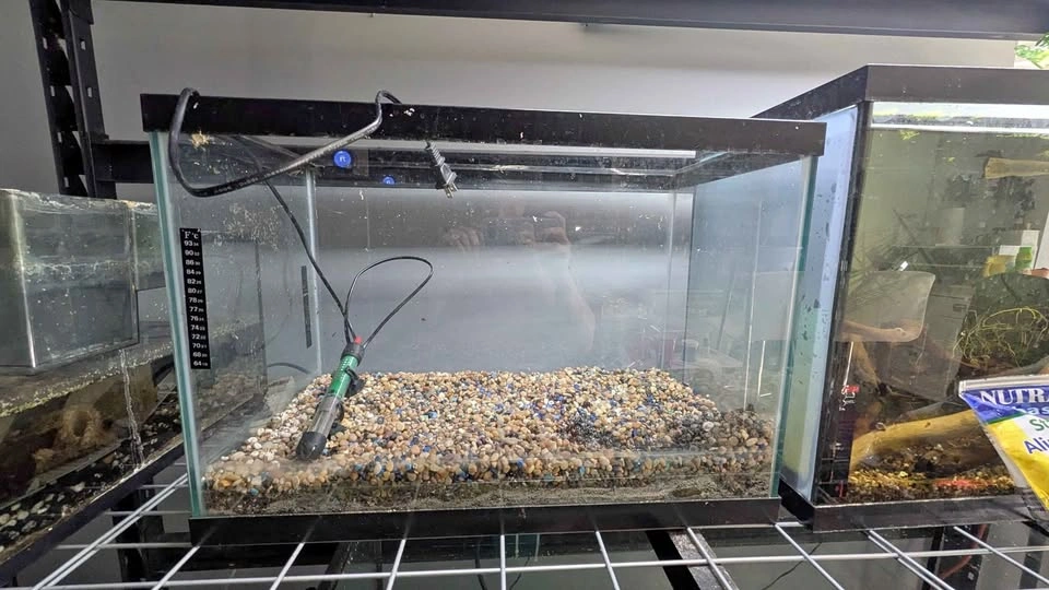 25 gallon aquarium with heater and substrate