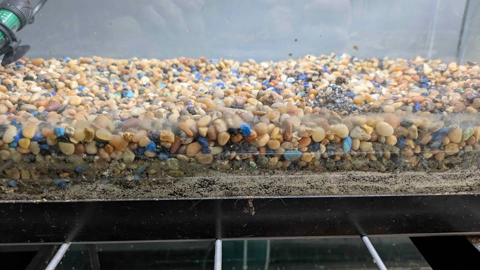 25 gallon aquarium with heater and substrate - photo 3