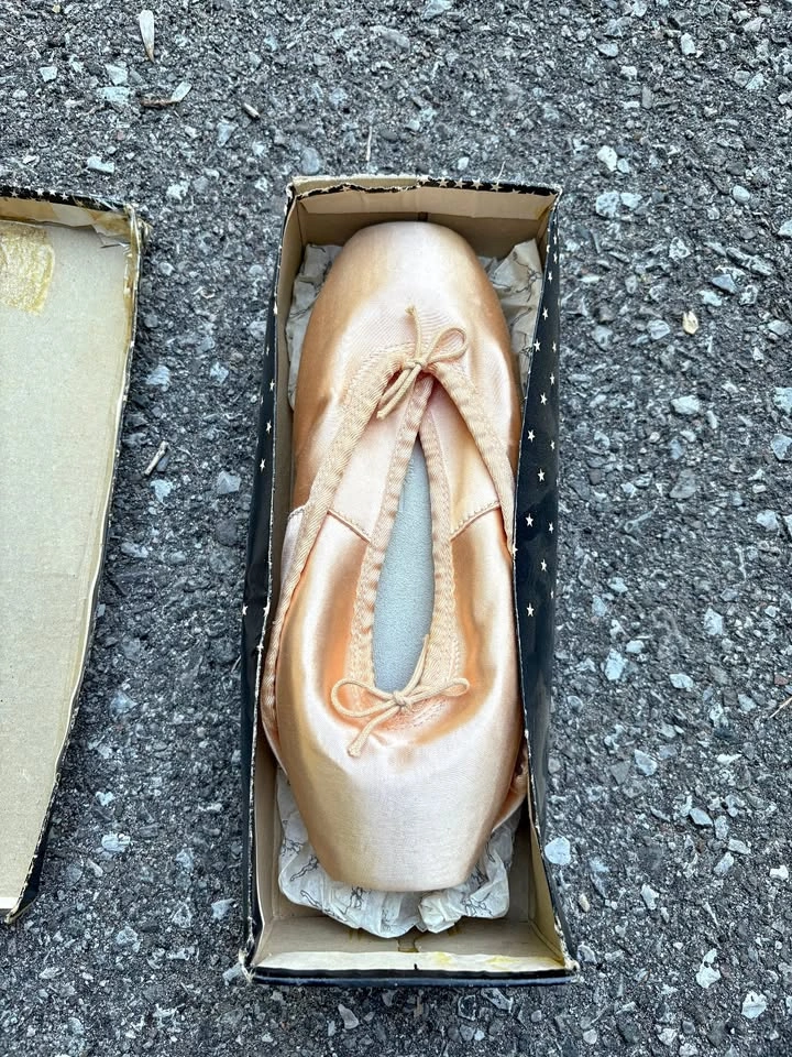 Ballet Pointe Shoes - Angelo Luzio