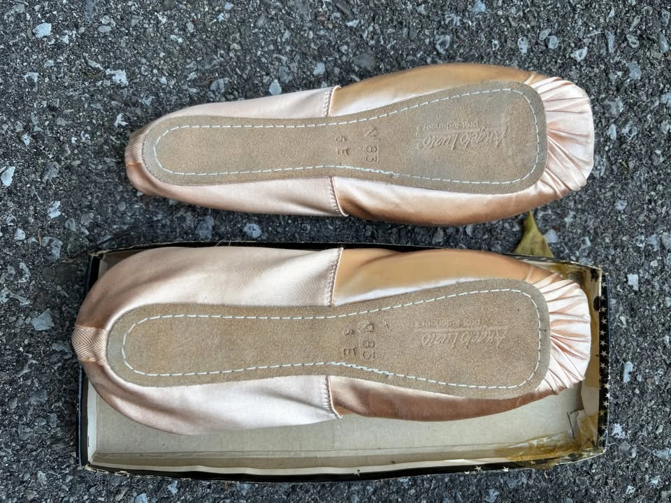 Ballet Pointe Shoes - Angelo Luzio - photo 2