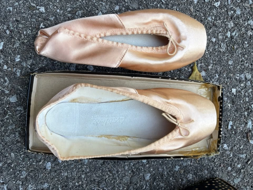 Ballet Pointe Shoes - Angelo Luzio - photo 3