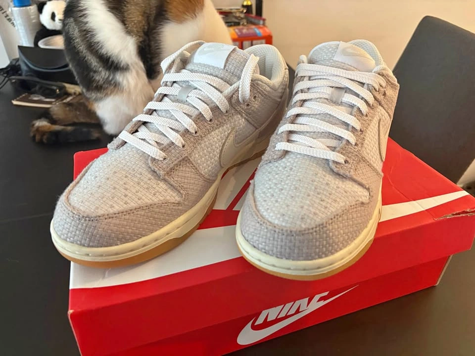 Nike Dunk Low Retro SE