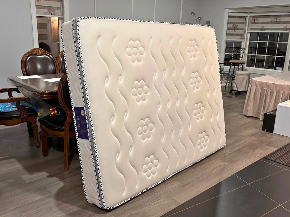 Queen-Sized Mattress (with bag)