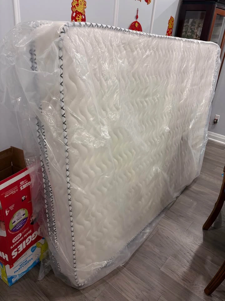 Queen-Sized Mattress (with bag) - photo 5