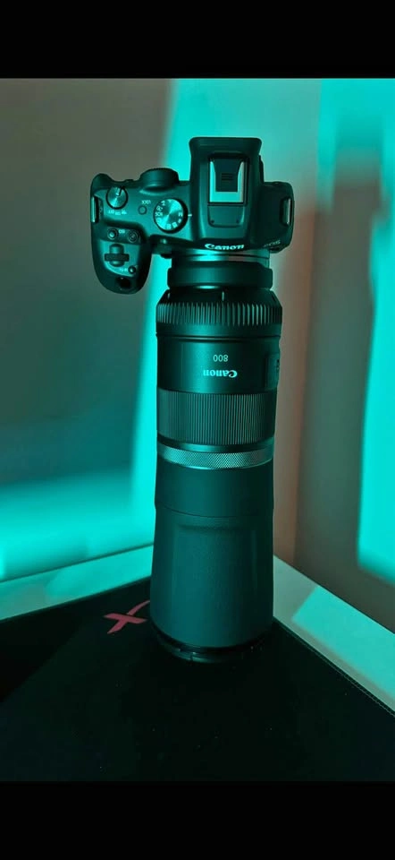 Canon RF 800mm Lens