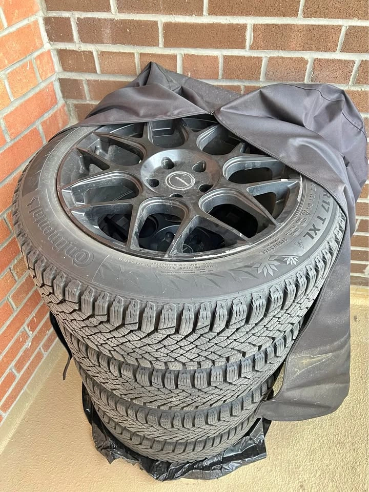 Winter Tire 205/55/R17
