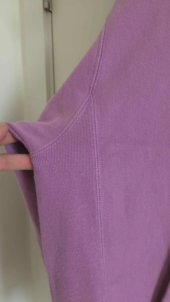 Champion Reverse Weave Hoodie - photo 4