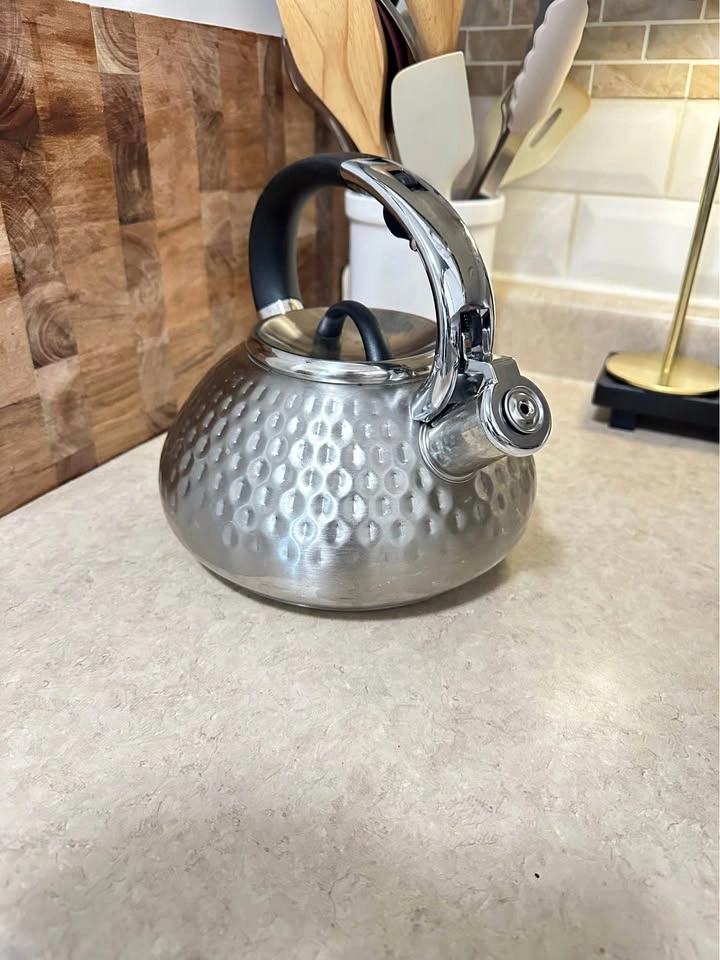 Balduzzi Stainless Steel Tea Kettle