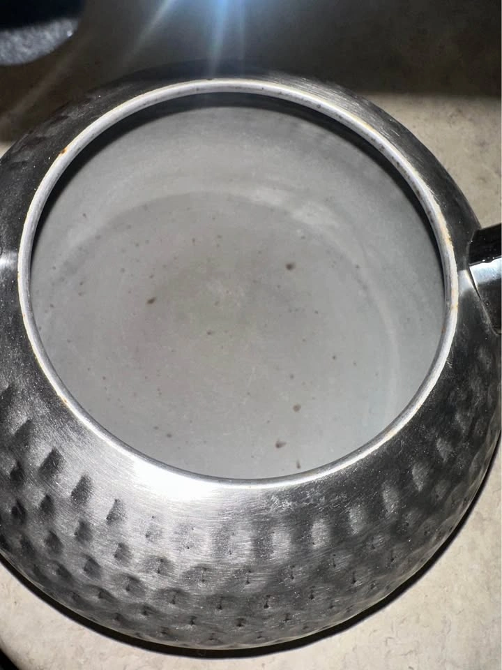 Balduzzi Stainless Steel Tea Kettle - photo 3
