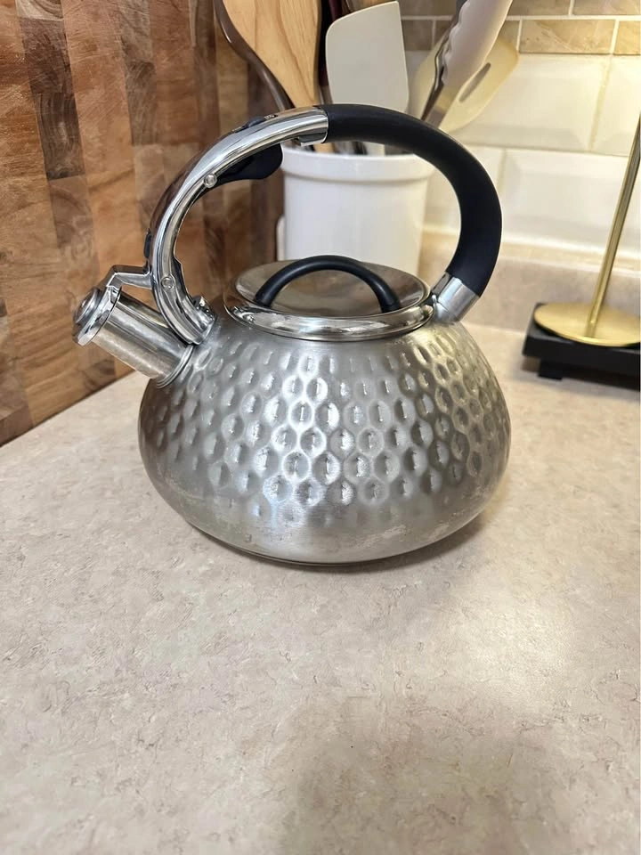 Balduzzi Stainless Steel Tea Kettle - photo 4