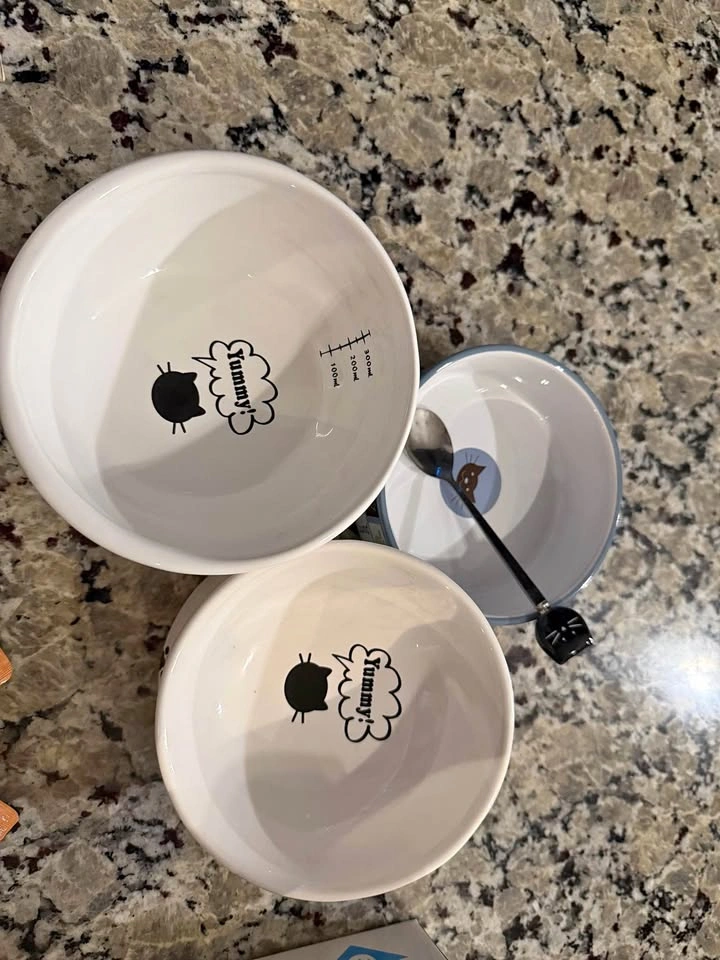3 Piece Cat Bowl Set with Free Spoon