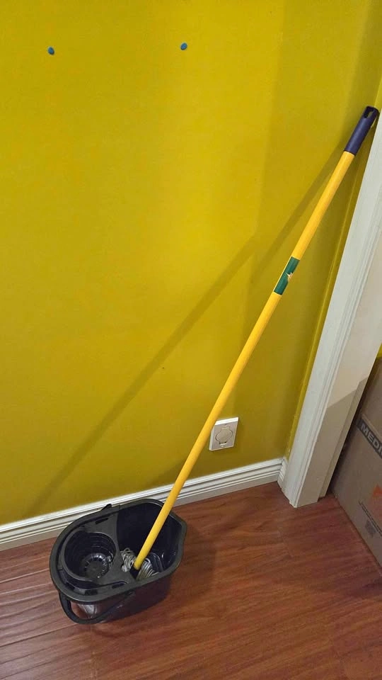 Floor Mop & Bucket