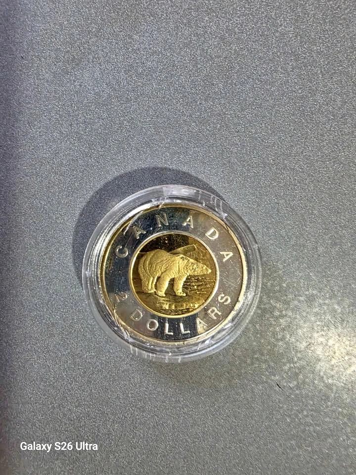 2003  Silver Proof Toonie
