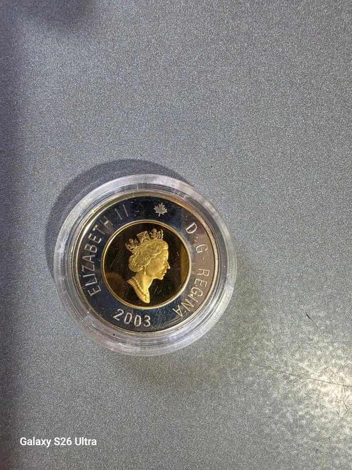 2003  Silver Proof Toonie - photo 2