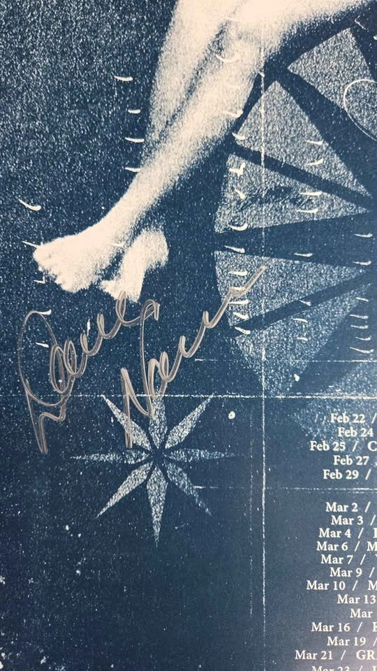Jane's Addiction Signed 2012 Tour Poster Limited Edition - photo 4