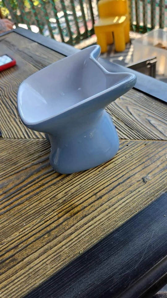 Whisker City Ceramic Elevated Cat Bowl 4.4oz - photo 2