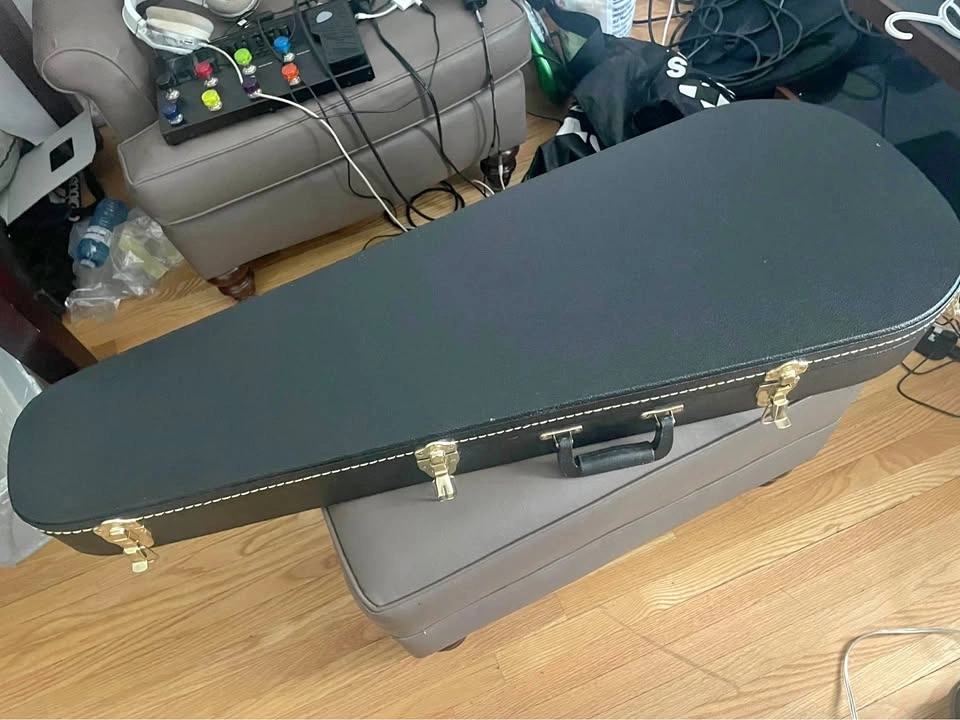 Electric guitar case