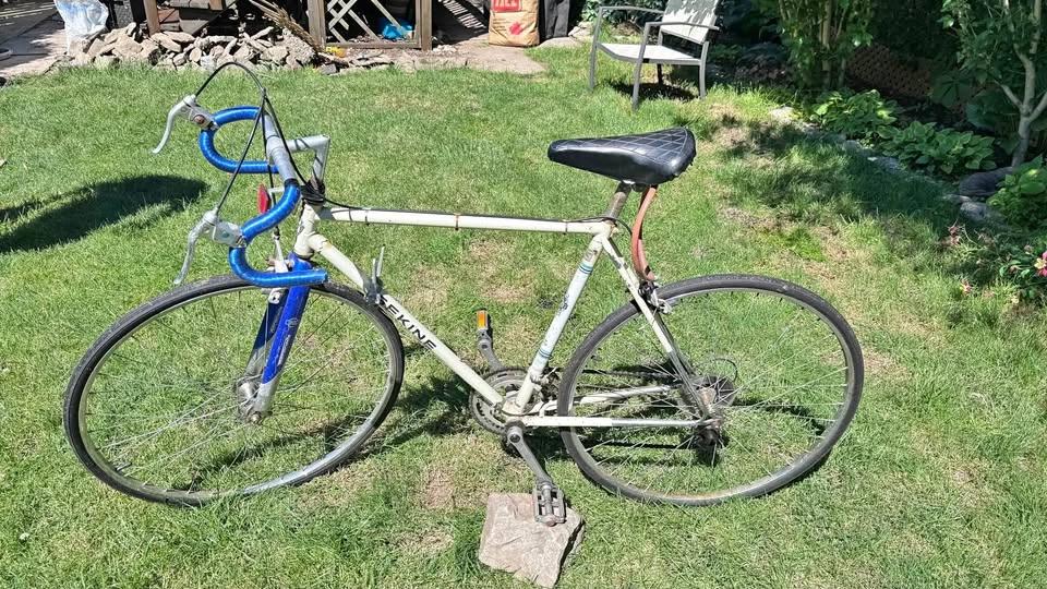 Vintage Sekine Road Bike