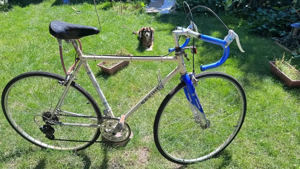Vintage Sekine Road Bike - photo 2