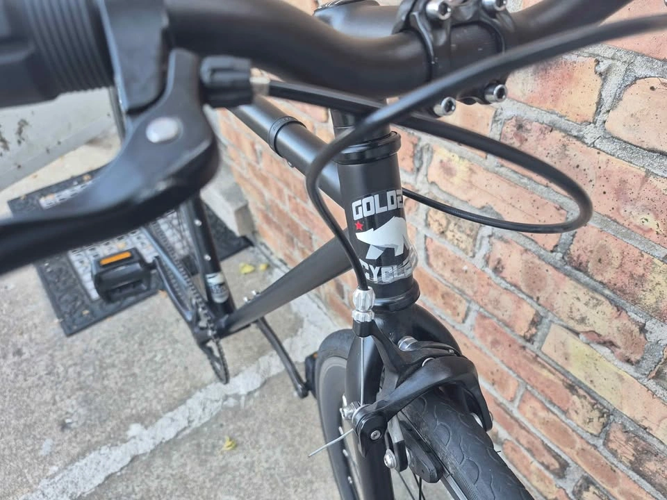 Golden Cycles single speed Bike - photo 5