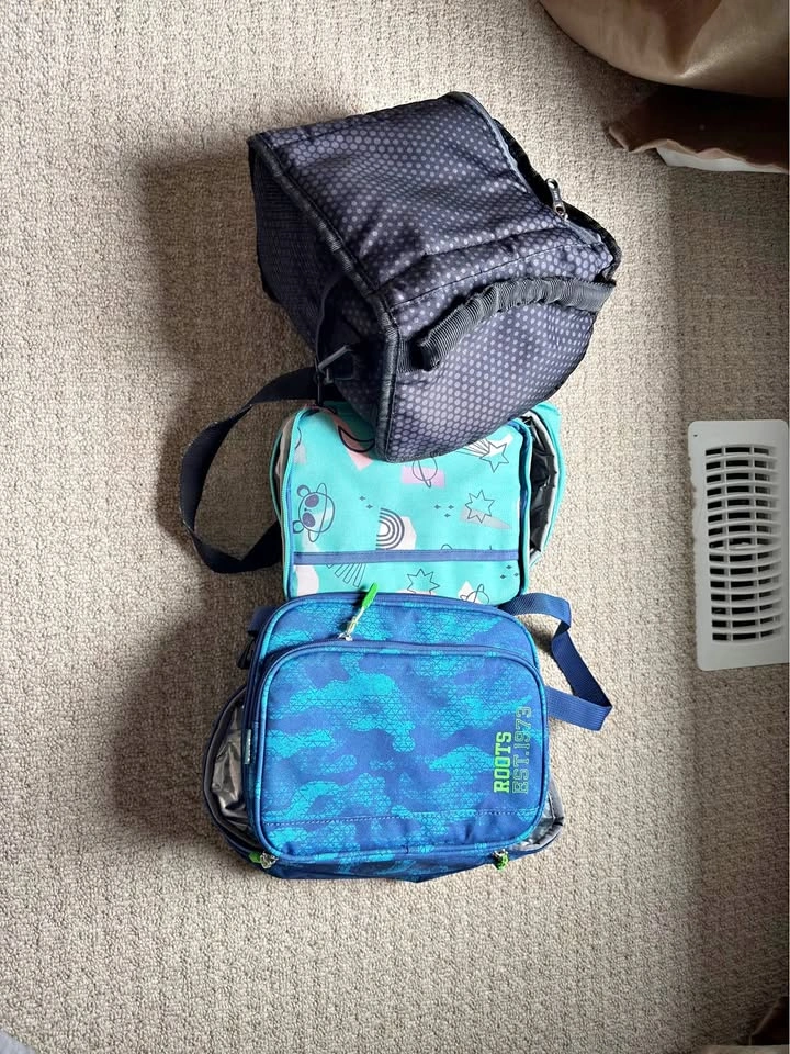 Set of 3 Insulated Lunch Bags / Lunch Boxes (Roots & More)