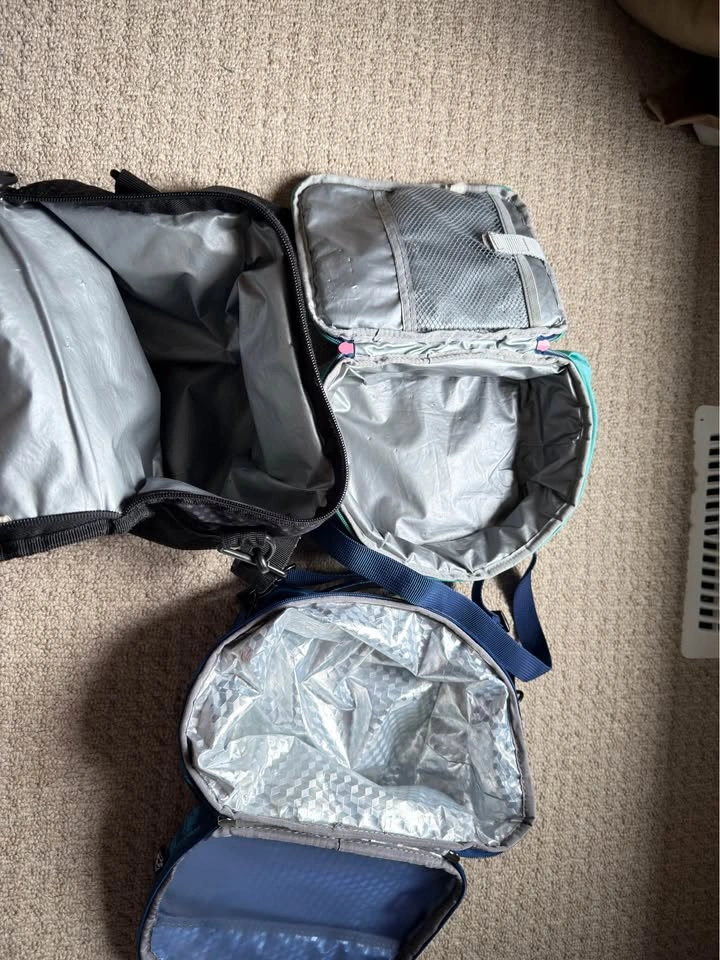 Set of 3 Insulated Lunch Bags / Lunch Boxes (Roots & More) - photo 2