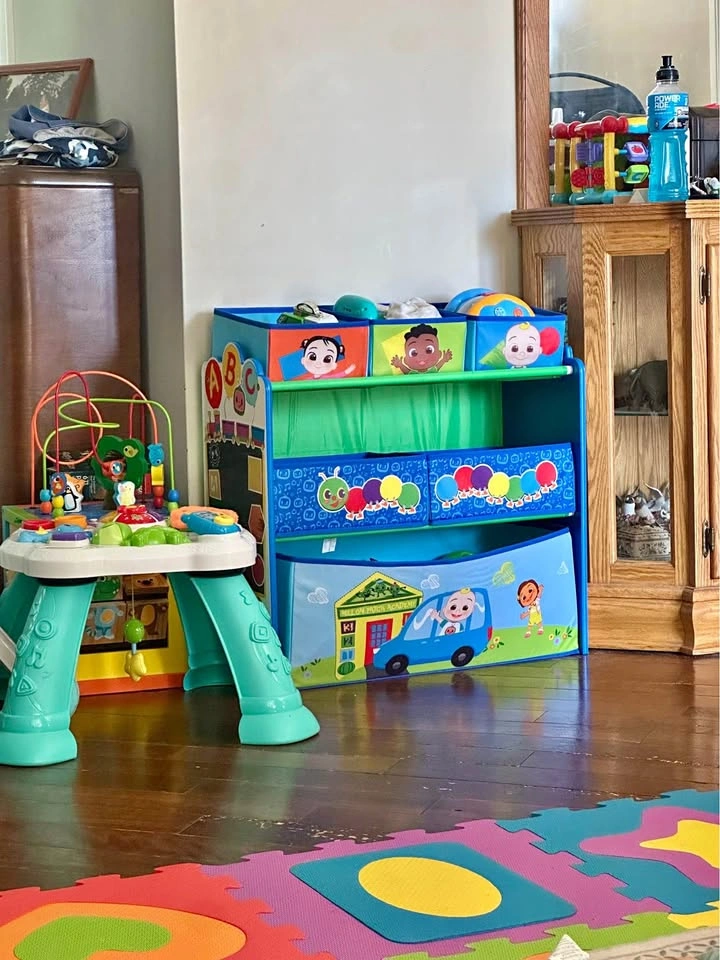 Cocomelon toy bin